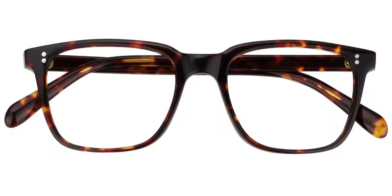 Lamont Glasses - Lamont Rectangle Tortoise Glasses 3 Lamont Glasses - Lamont Rectangle Tortoise Glasses