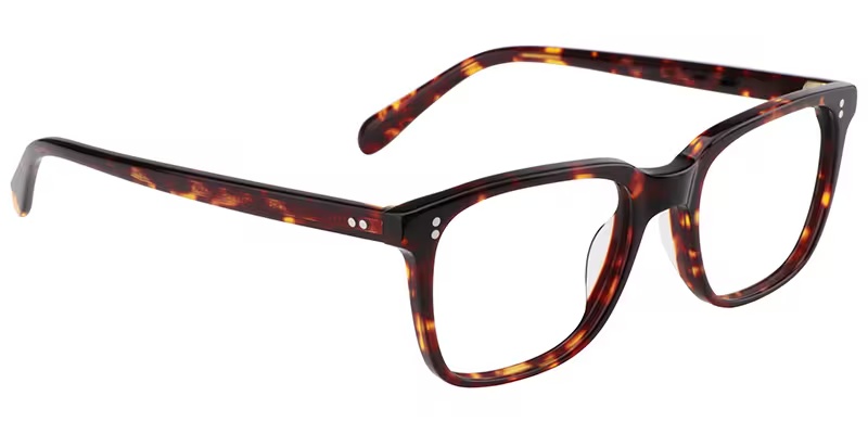 Lamont Glasses - Lamont Rectangle Tortoise Glasses 5 Lamont Glasses - Lamont Rectangle Tortoise Glasses