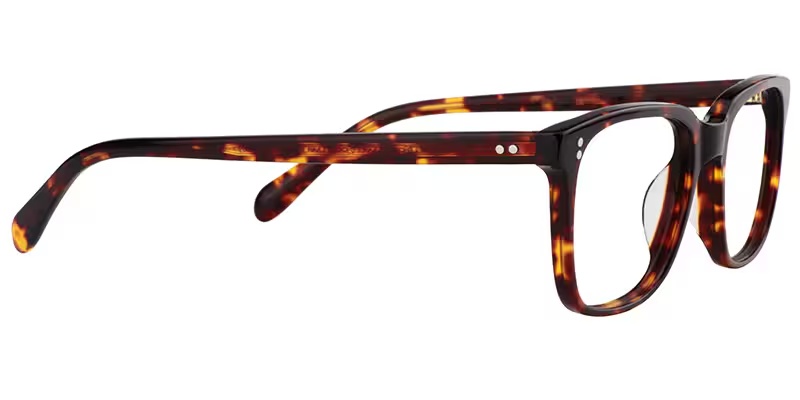 Lamont Glasses - Lamont Rectangle Tortoise Glasses 6 Lamont Glasses - Lamont Rectangle Tortoise Glasses