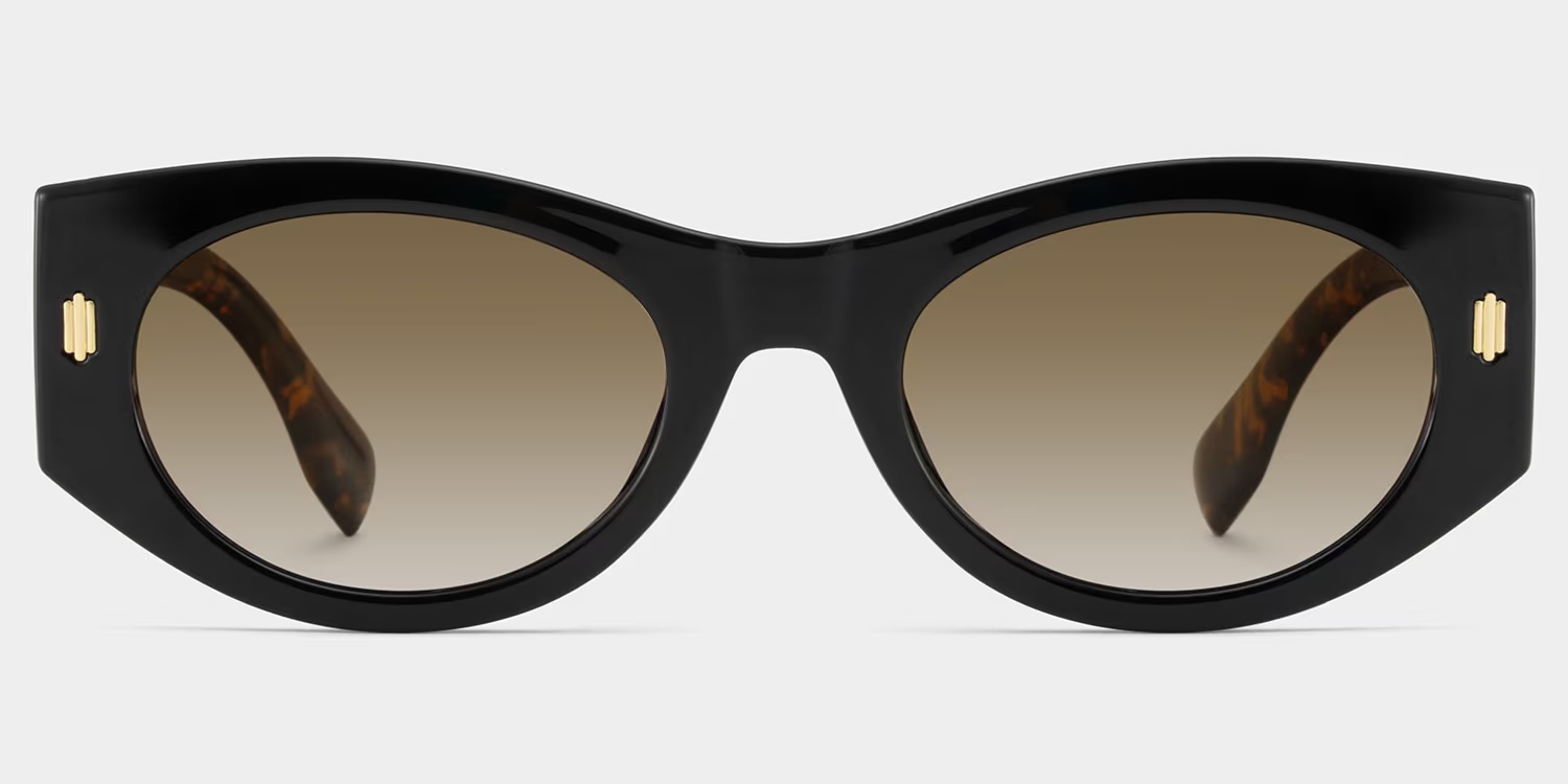 Reina Sunglasses - Reina Geometric Black Polarized Sunglasses